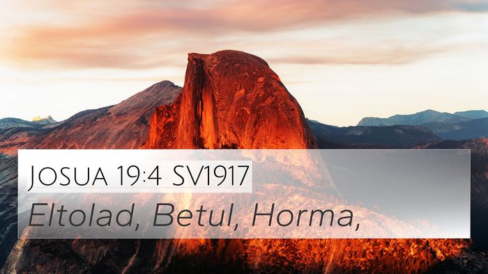Josua 19:4 SV1917 Bible Verse Image