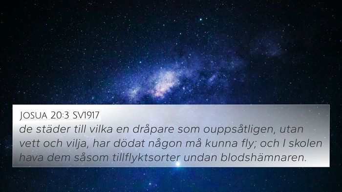 Josua 20:3 SV1917 Bible Verse Image