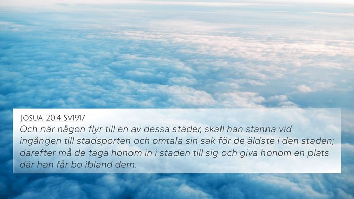 Josua 20:4 SV1917 Bible Verse Image