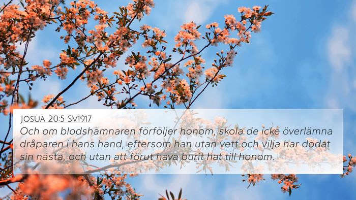 Josua 20:5 SV1917 Bible Verse Image
