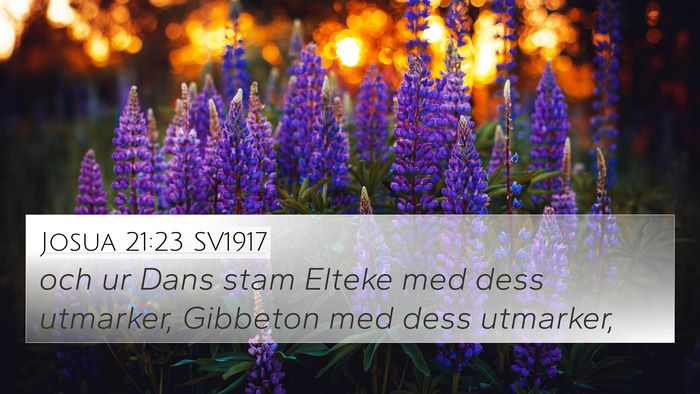 Josua 21:23 SV1917 Bible Verse Image