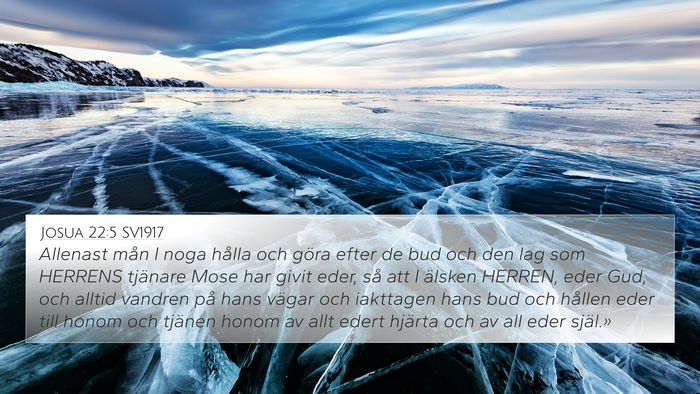 Josua 22:5 SV1917 Bible Verse Image
