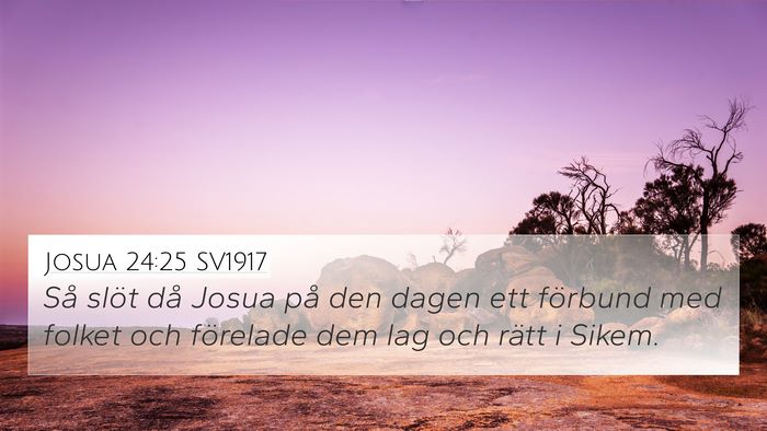 Josua 24:25 SV1917 4K Wallpaper - Så slöt då Josua på den dagen ett förbund - 4K Wallpaper Bible Verse
