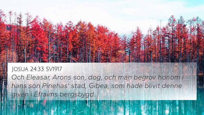 Josua 24:33 SV1917 Bible Verse Image