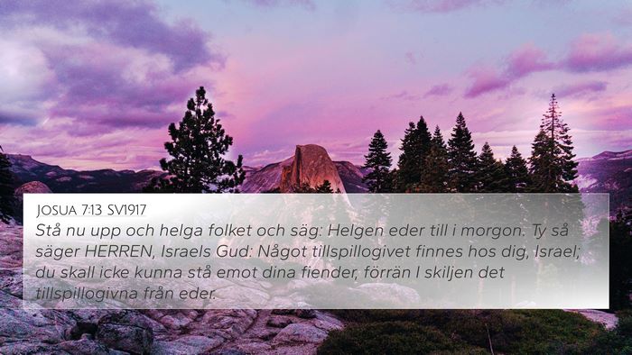 Josua 7:13 SV1917 Bible Verse Image