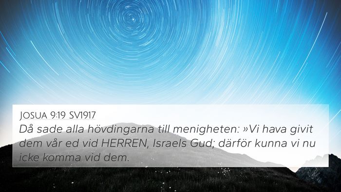 Josua 9:19 SV1917 Bible Verse Image