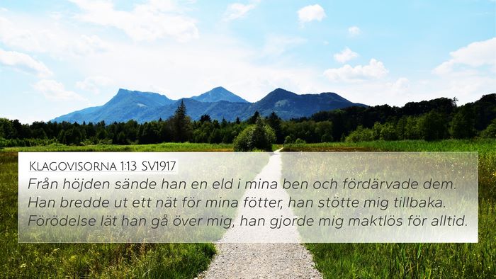 Klagovisorna 1:13 SV1917 4K Wallpaper - Från höjden sände han en eld i mina ben och - 4K Wallpaper Bible Verse