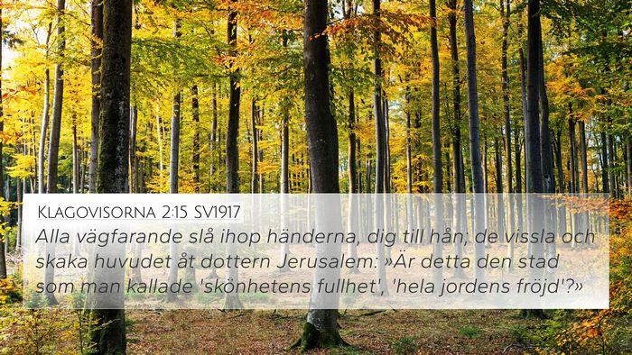 Klagovisorna 2:15 SV1917 Bible Verse Image