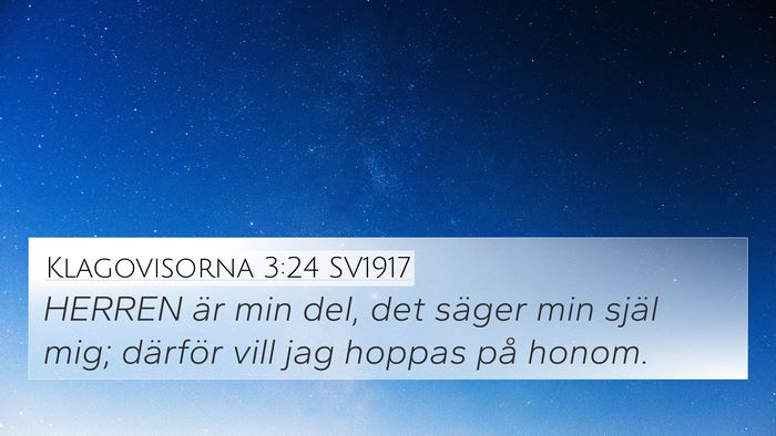 Klagovisorna 3:24 SV1917 Bible Verse Image