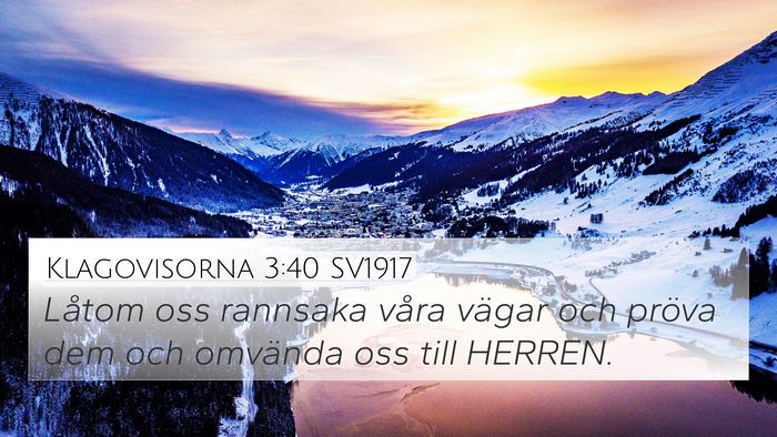 Klagovisorna 3:40 SV1917 Bible Verse Image