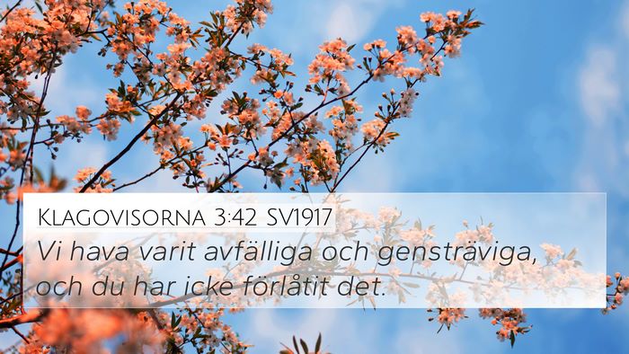 Klagovisorna 3:42 SV1917 Bible Verse Image