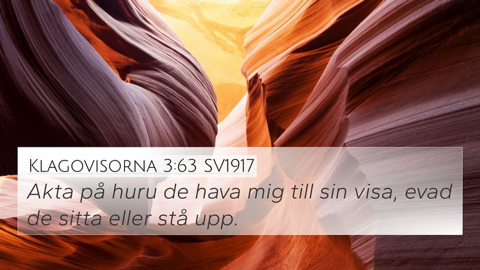 Klagovisorna 3:63 SV1917 Bible Verse Image