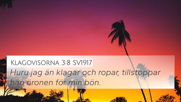 Klagovisorna 3:8 SV1917 Bible Verse Image