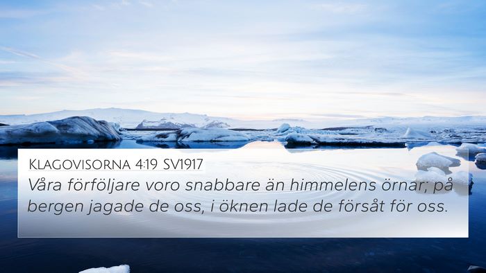 Klagovisorna 4:19 SV1917 Bible Verse Image