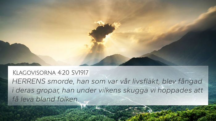 Klagovisorna 4:20 SV1917 Bible Verse Image