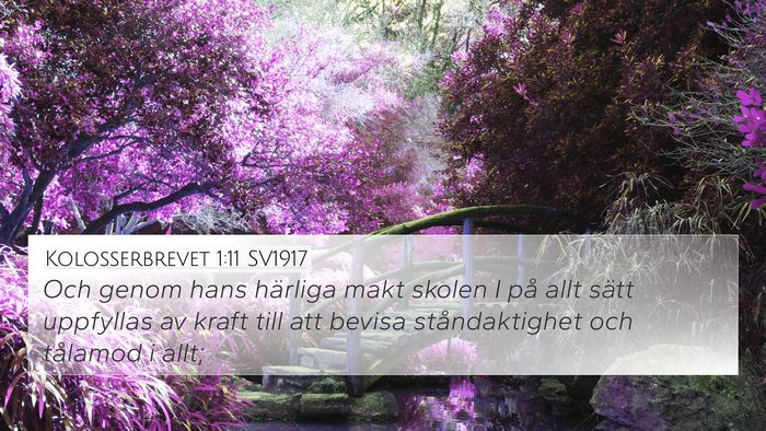 Kolosserbrevet 1:11 SV1917 Bible Verse Image