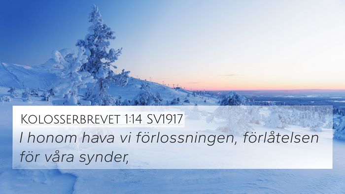 Kolosserbrevet 1:14 SV1917 Bible Verse Image