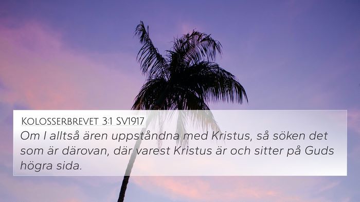 Kolosserbrevet 3:1 SV1917 Bible Verse Image