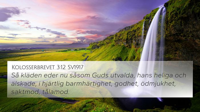 Kolosserbrevet 3:12 SV1917 Bible Verse Image
