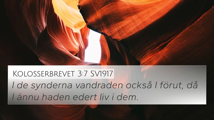 Kolosserbrevet 3:7 SV1917 Bible Verse Image