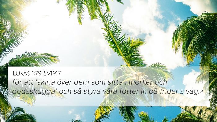 Lukas 1:79 SV1917 Bible Verse Image