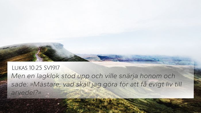 Lukas 10:25 SV1917 Bible Verse Image