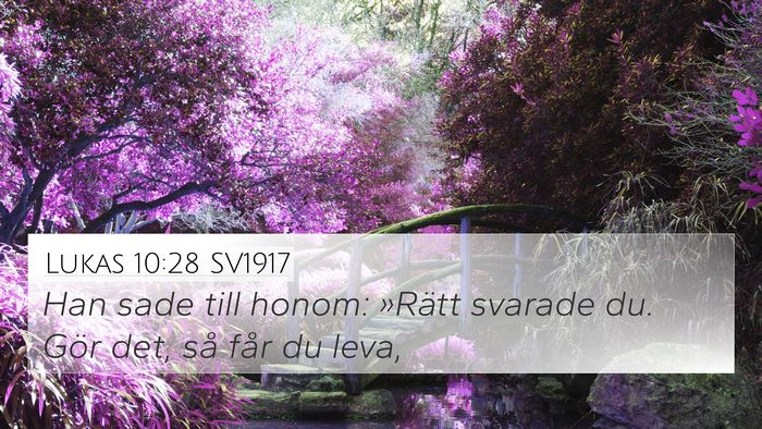 Lukas 10:28 SV1917 4K Wallpaper - Han sade till honom: »Rätt svarade du. Gör - 4K Wallpaper Bible Verse