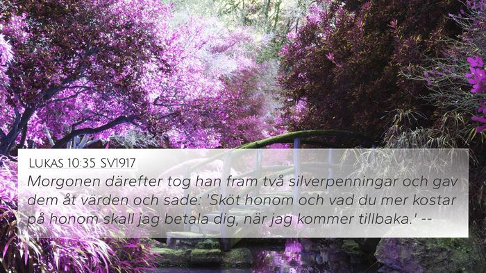 Lukas 10:35 SV1917 Bible Verse Image