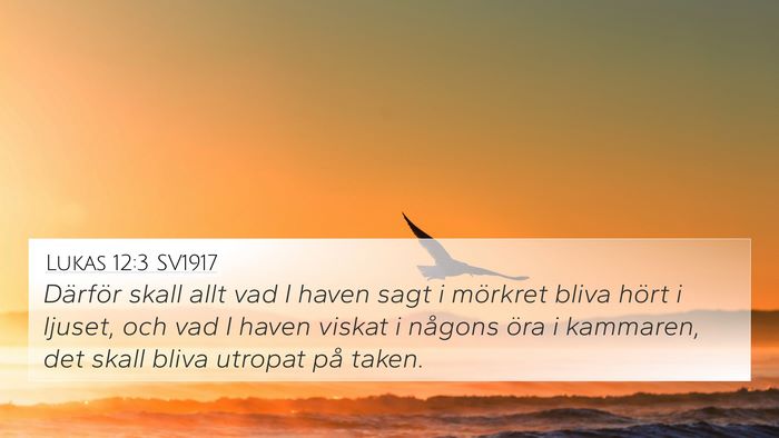 Lukas 12:3 SV1917 Bible Verse Image