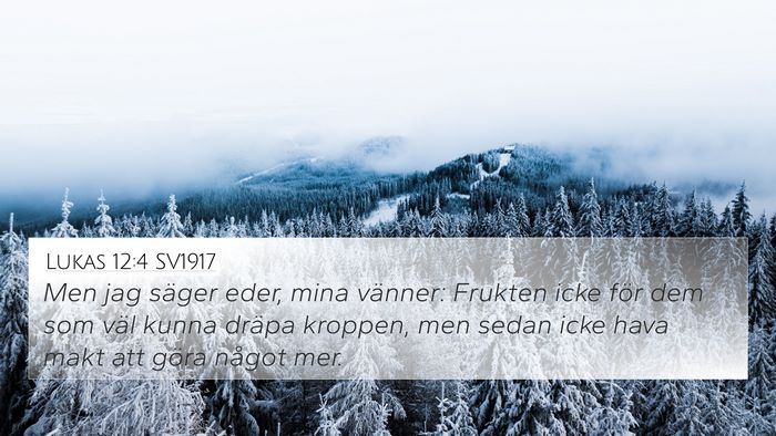 Lukas 12:4 SV1917 Bible Verse Image