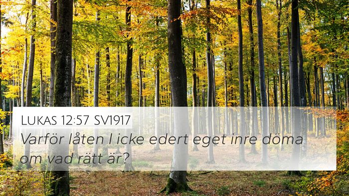 Lukas 12:57 SV1917 Bible Verse Image