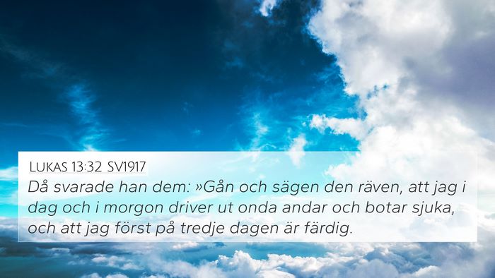Lukas 13:32 SV1917 Bible Verse Image