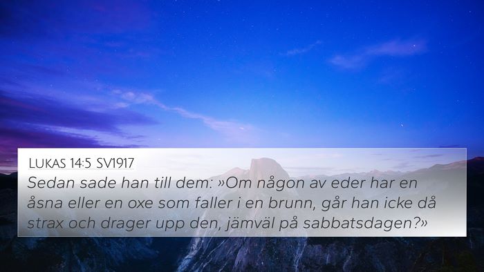 Lukas 14:5 SV1917 Bible Verse Image
