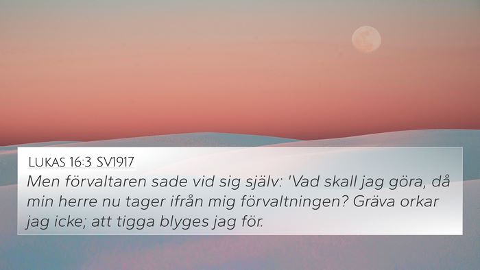 Lukas 16:3 SV1917 Bible Verse Image