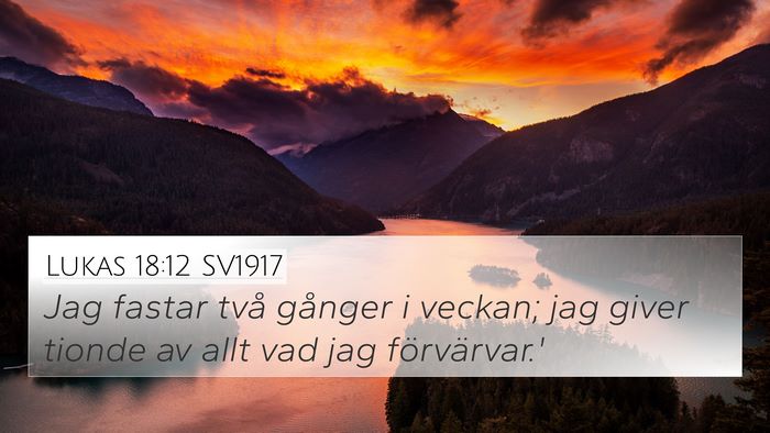 Lukas 18:12 SV1917 Bible Verse Image