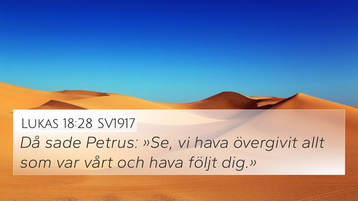 Lukas 18:28 SV1917 Bible Verse Image