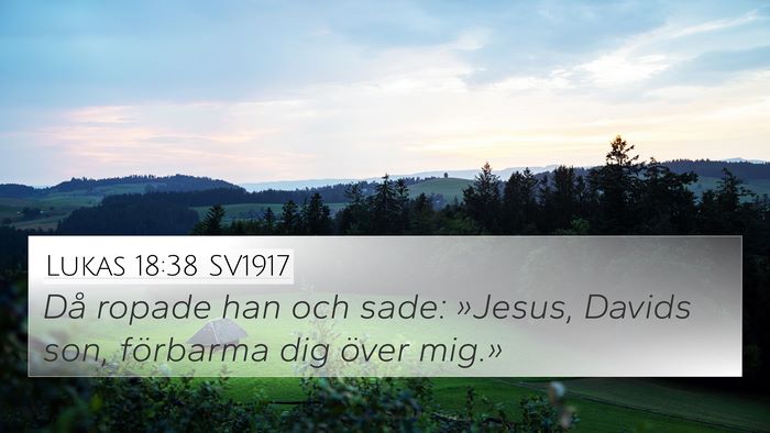 Lukas 18:38 SV1917 Bible Verse Image
