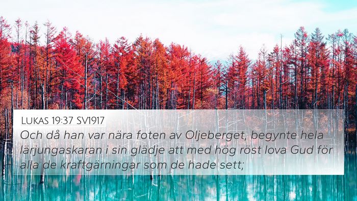 Lukas 19:37 SV1917 Bible Verse Image