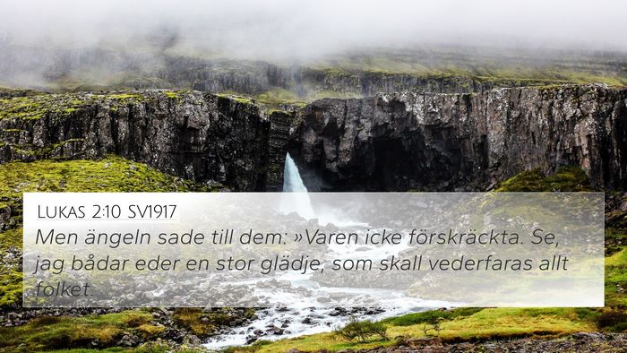 Lukas 2:10 SV1917 Bible Verse Image