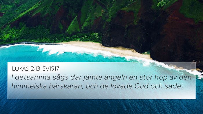 Lukas 2:13 SV1917 Bible Verse Image