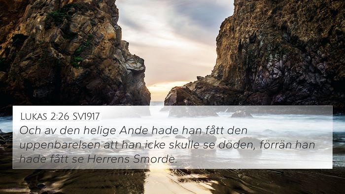 Lukas 2:26 SV1917 Bible Verse Image