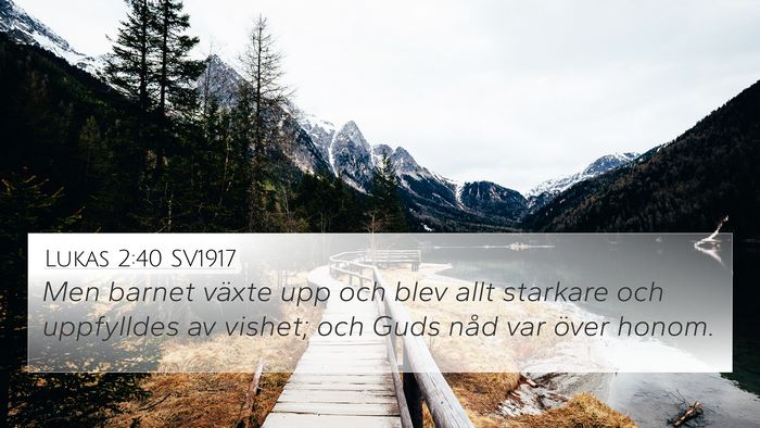 Lukas 2:40 SV1917 Bible Verse Image