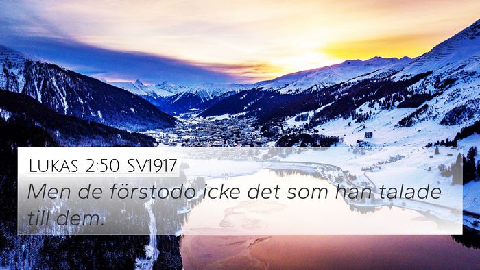 Lukas 2:50 SV1917 Bible Verse Image