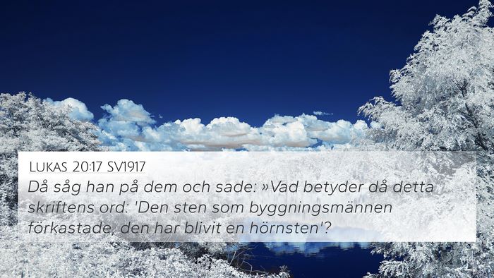 Lukas 20:17 SV1917 Bible Verse Image