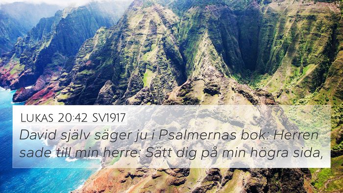 Lukas 20:42 SV1917 Bible Verse Image