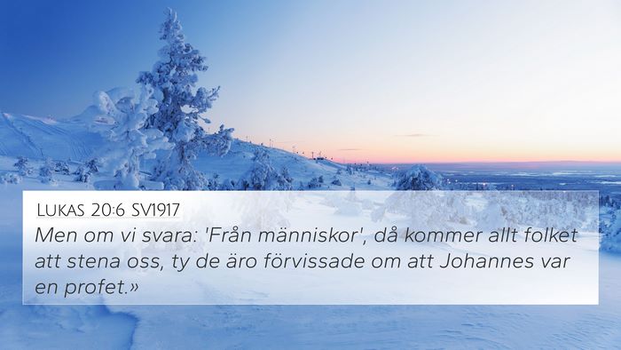 Lukas 20:6 SV1917 Bible Verse Image