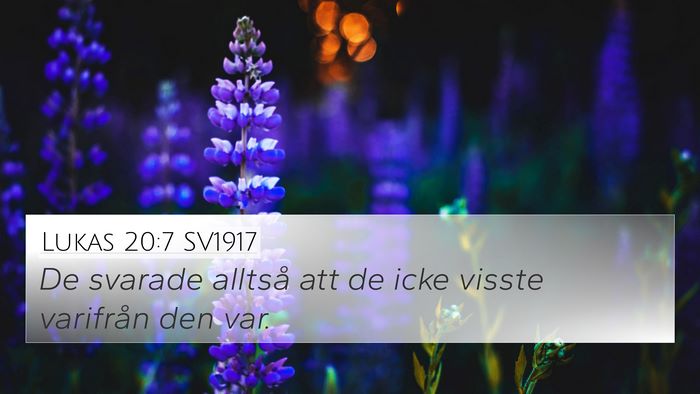 Lukas 20:7 SV1917 Bible Verse Image