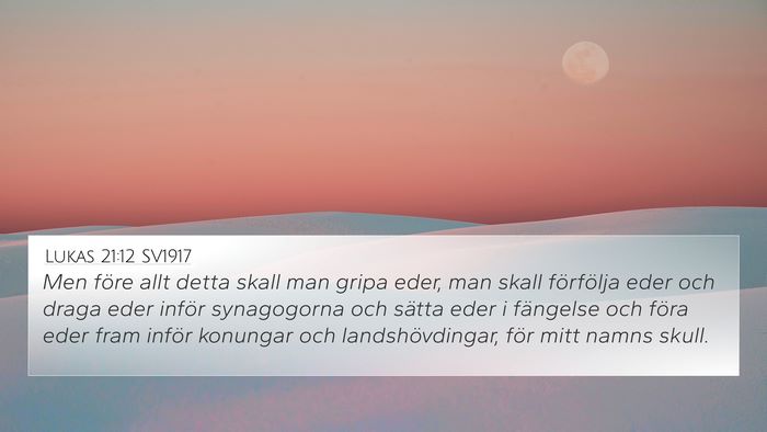 Lukas 21:12 SV1917 Bible Verse Image