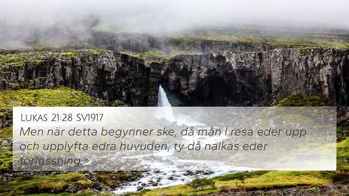 Lukas 21:28 SV1917 Bible Verse Image