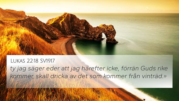 Lukas 22:18 SV1917 Bible Verse Image